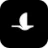 Blackbird