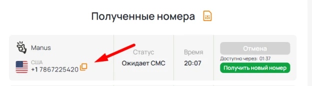 прием смс Manus 